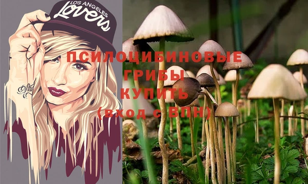 МДПВ Михайлов