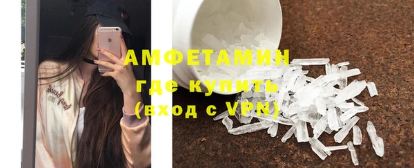 индика Магас