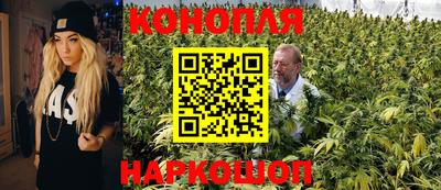 сатива Берёзовский