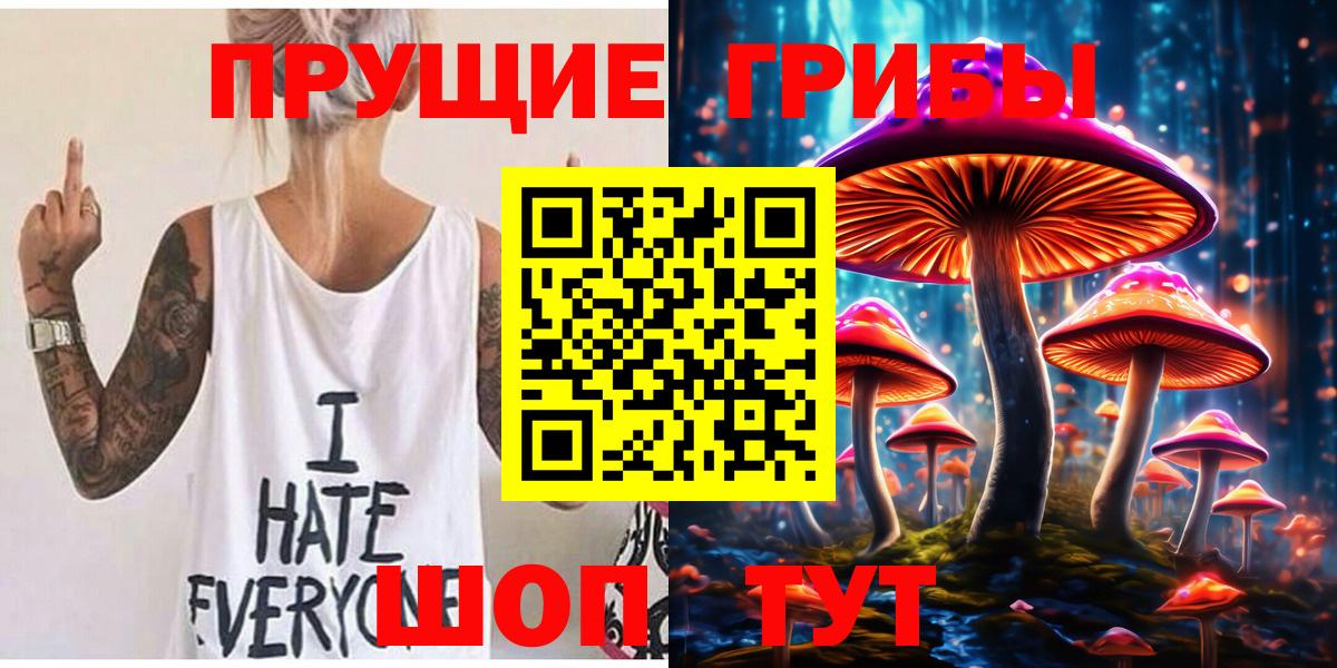 Псилоцибиновые грибы прущие грибы  Псилоцибиновые грибы Psilocybine cubensis  Ишим 