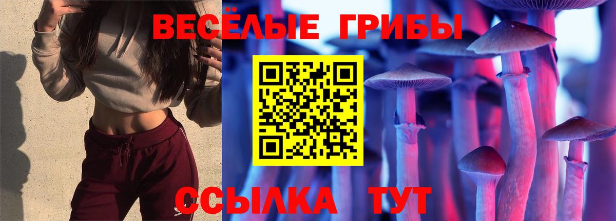 Ишим  Псилоцибиновые грибы GOLDEN TEACHER  Вход с VPN 